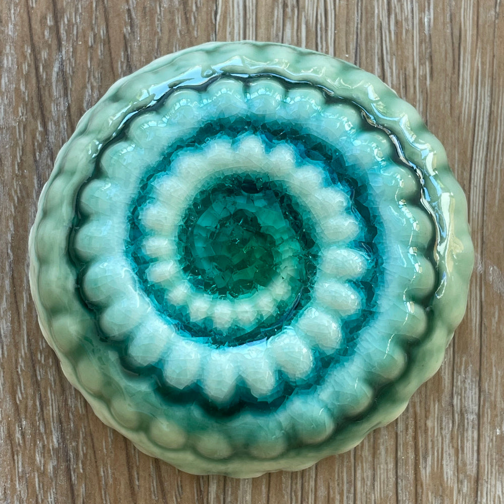 Ceramic Ammonites