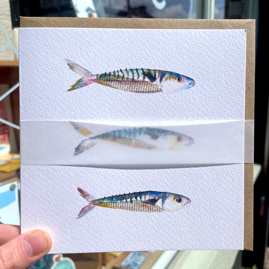 Three Mackerel Card