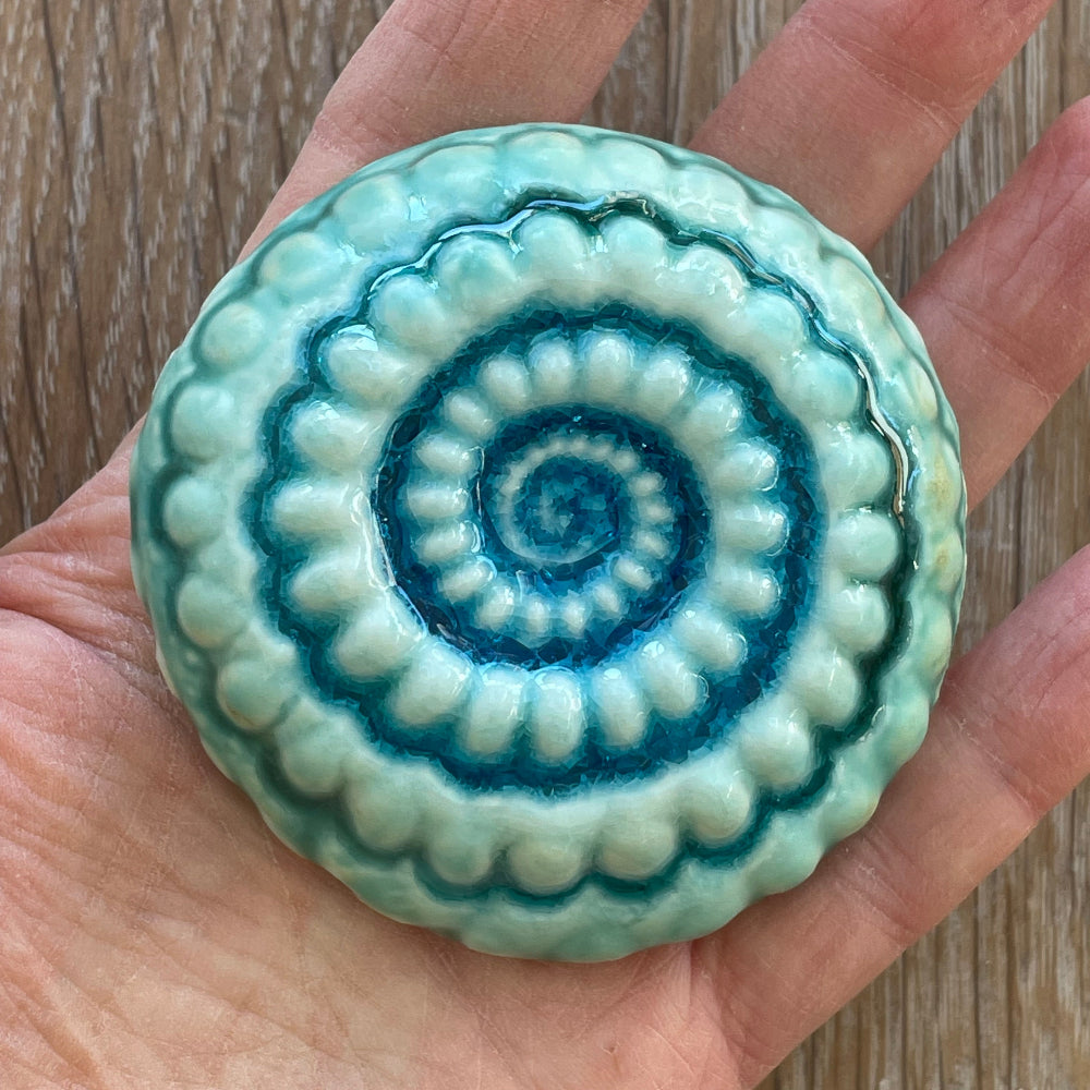 Ceramic Ammonites