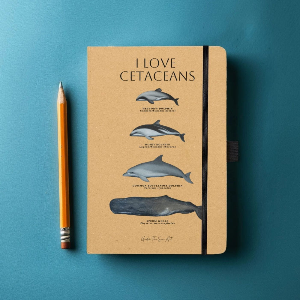 A tan hardcover notebook with an elastic closure and the words 'I LOVE CETACEANS' printed on the cover, shown on a blue background next to a yellow pencil.