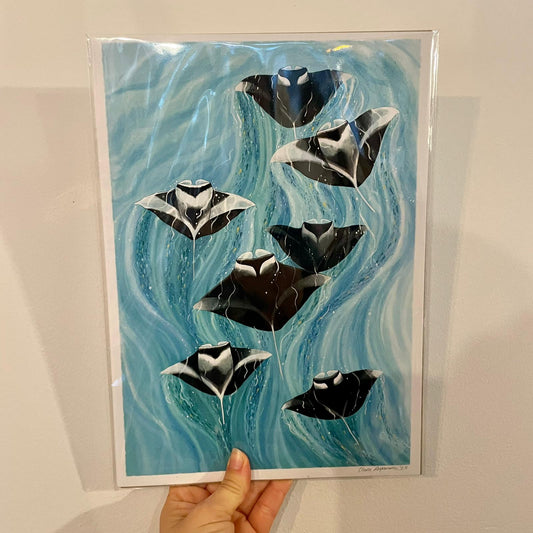 Manta Rays Print