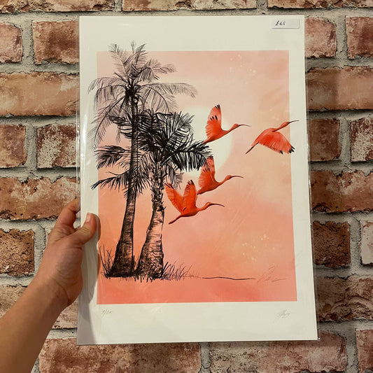 A3 Scarlett Ibis Print