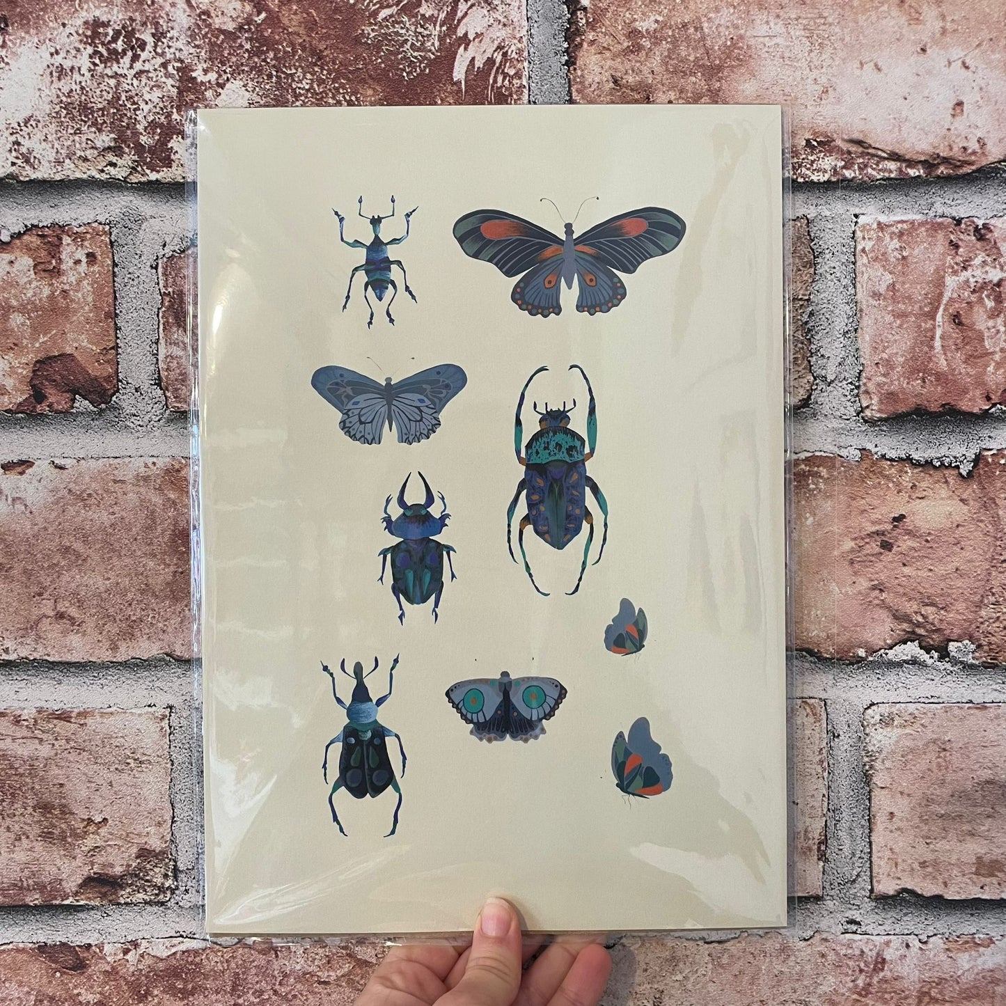 Insects Print A4