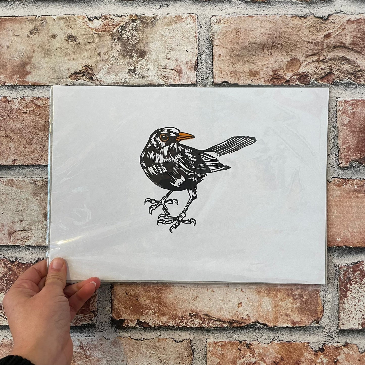 Black Bird A4 Print