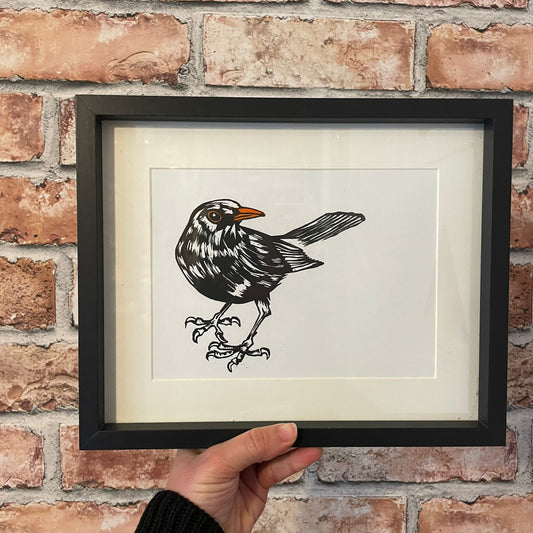 Black Bird Framed Print