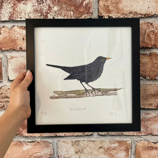 Blackbird Framed Print 30 x 30