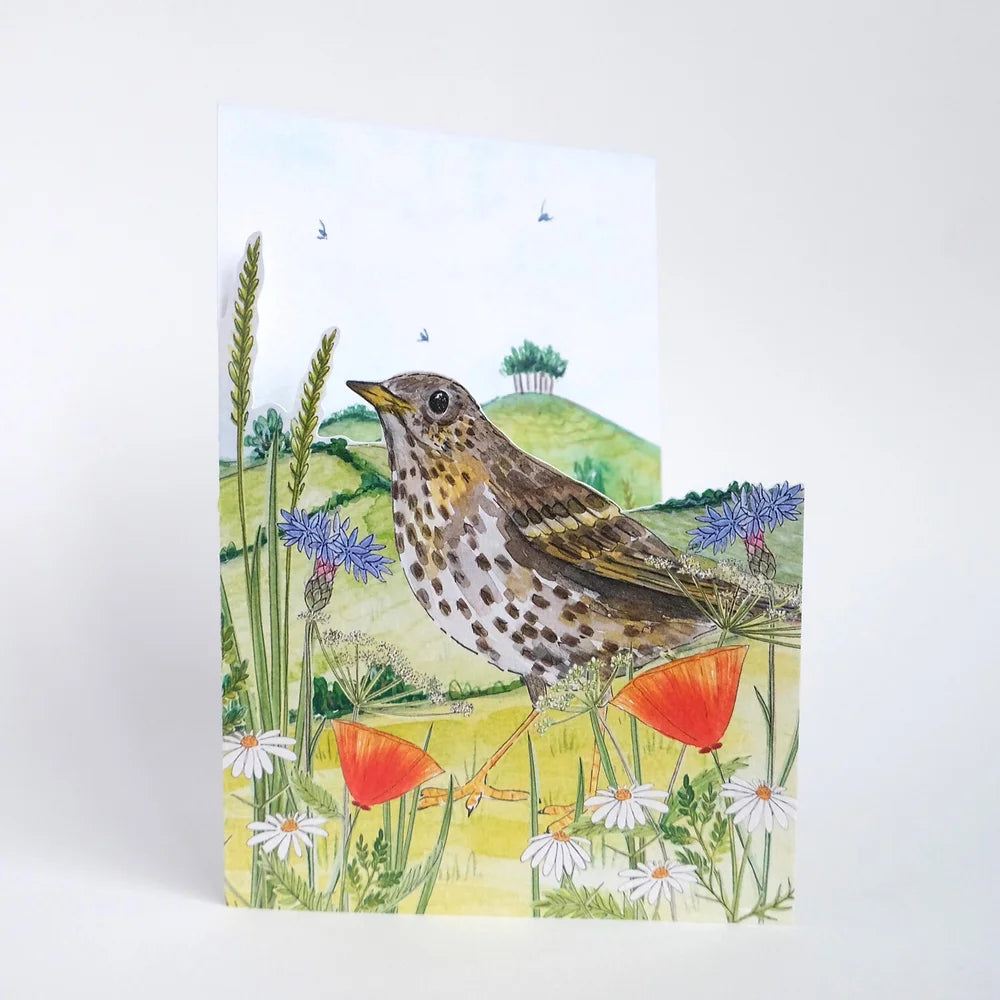 Wildflower Meadow Die-cut Card