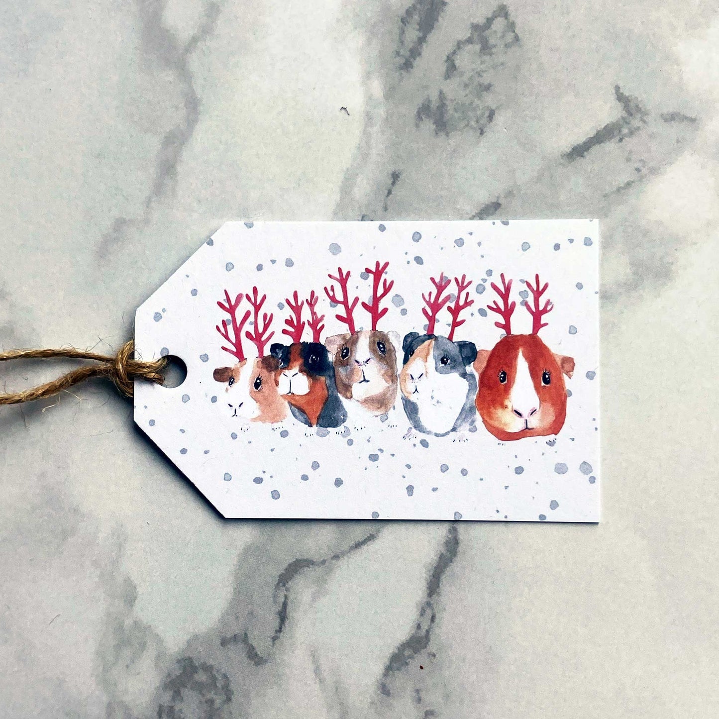 Guinea Pig Christmas Gift Tags