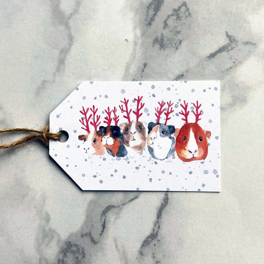 Guinea Pig Christmas Gift Tags