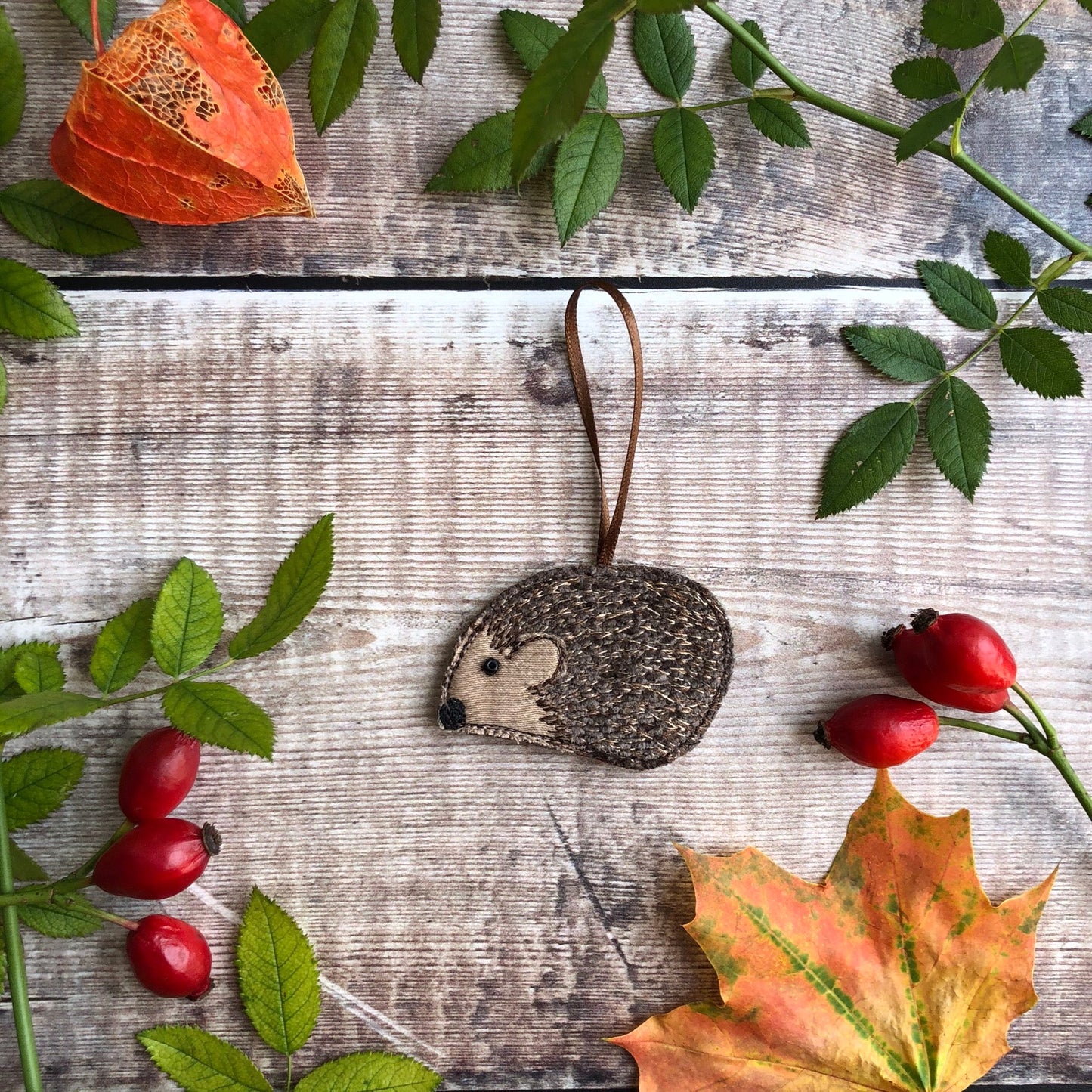 Hanging Hedgehog