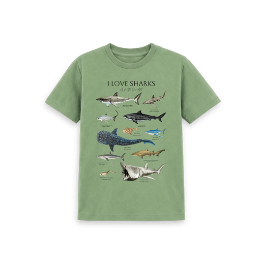 A sage green short-sleeve t-shirt featuring a detailed graphic print of various shark species with the text 'I LOVE SHARKS' at the top, displayed on a clean white background.