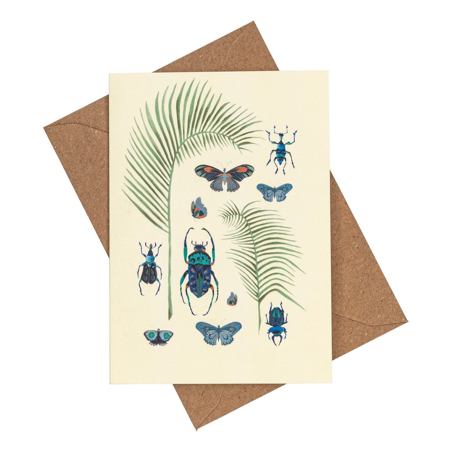 Palms and Insects Card