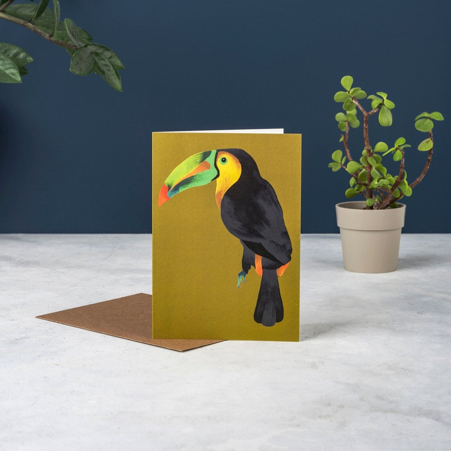 Set of 5 Tropical Animal Cards