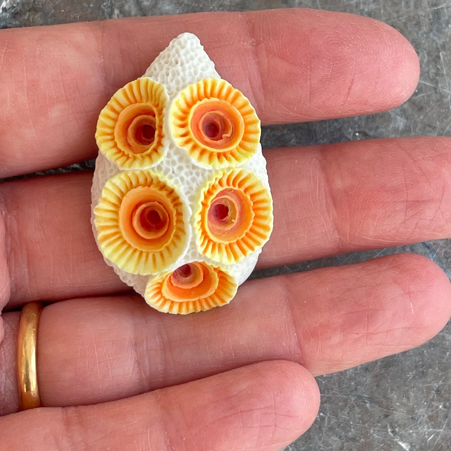 Coral Brooch Large