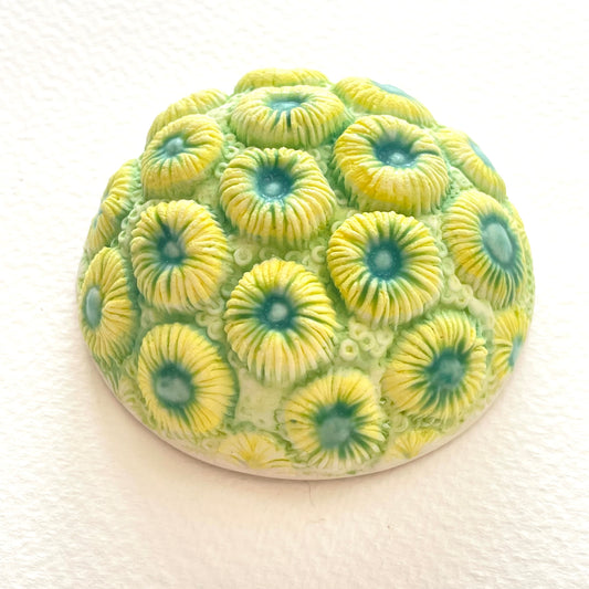 Porcelain Coral Cluster