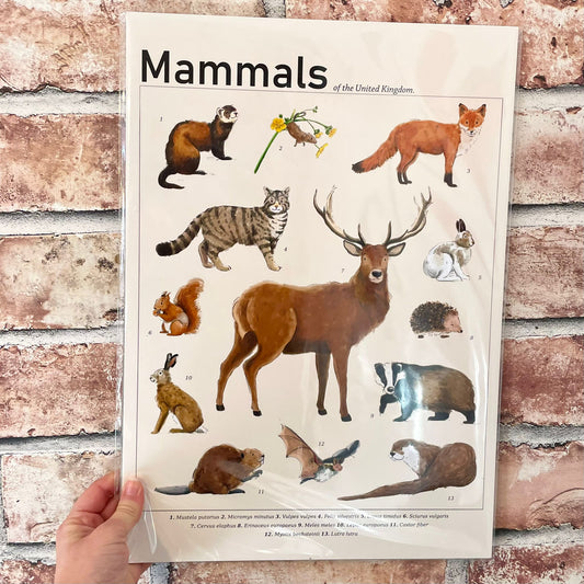 Mammals of the United Kingdom