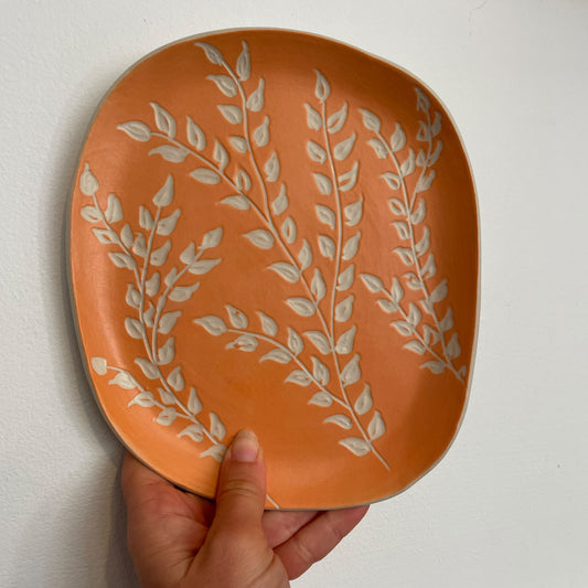 Coloured Small Plates