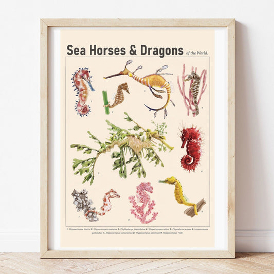 Seahorse Print