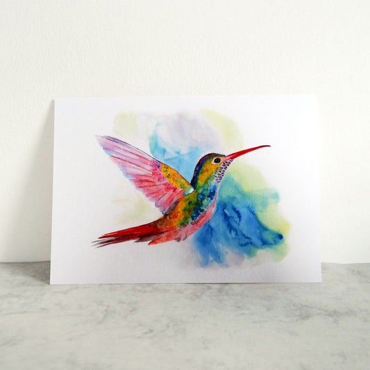 Hummingbird Print A3