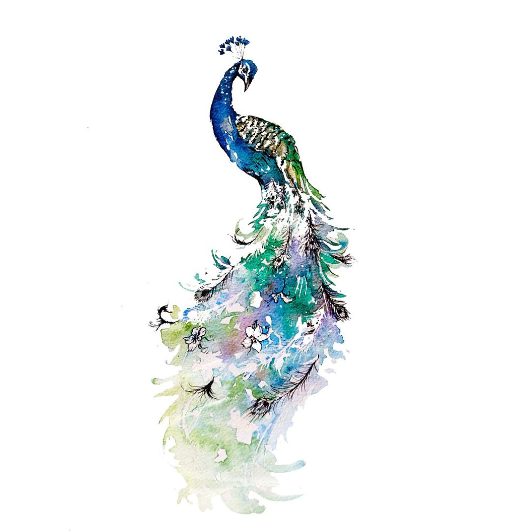 Elegant Peacock Print A3