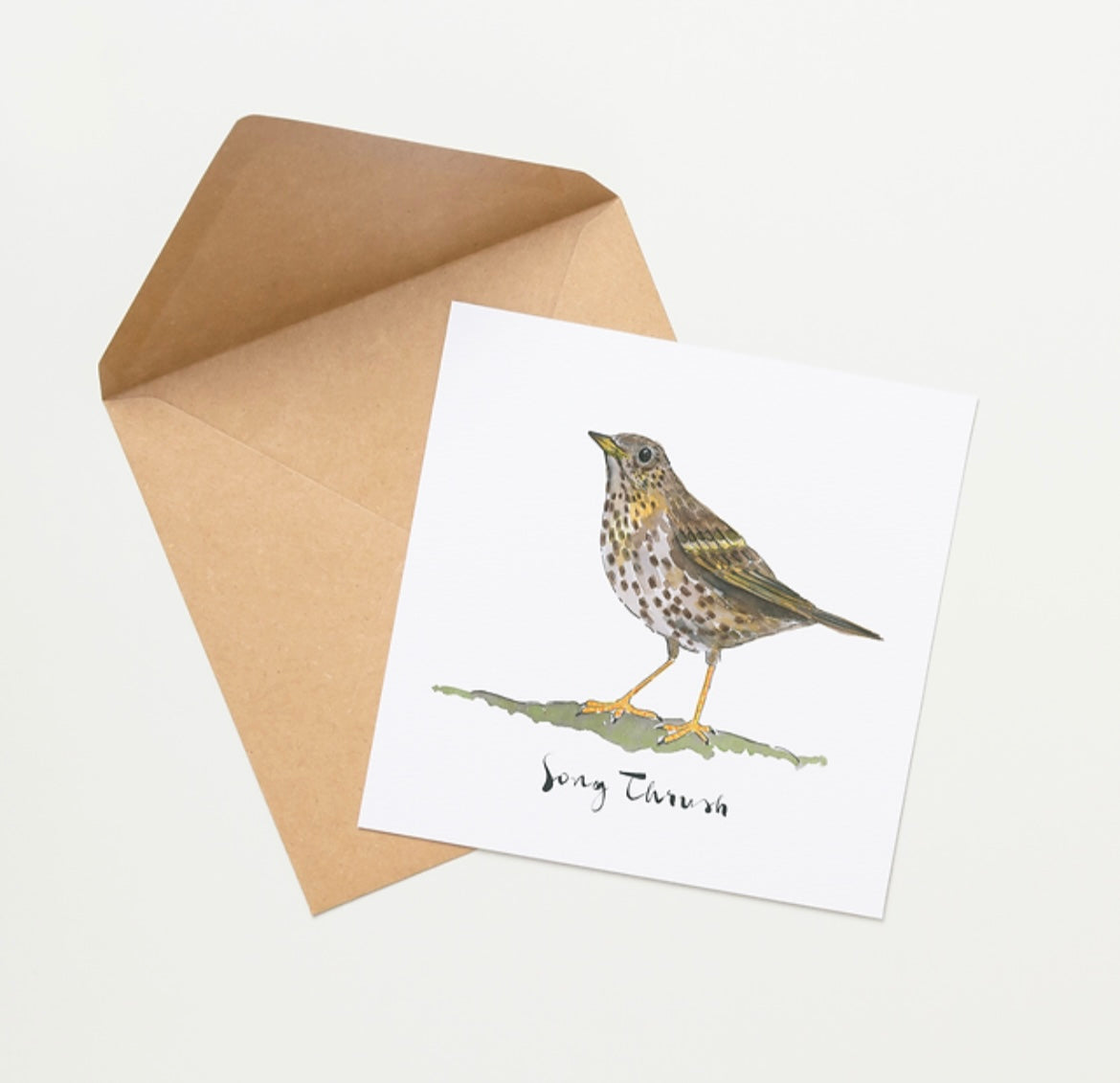 Song Thrush Card