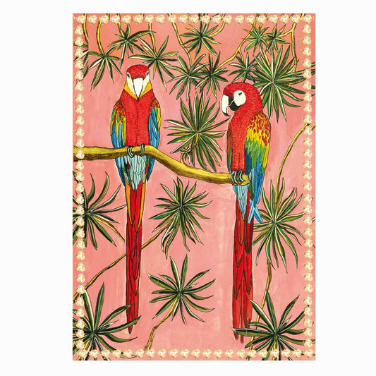 Parrots and Plants Card