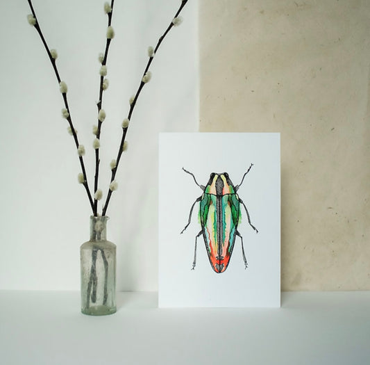 Orange Beetle Print A5