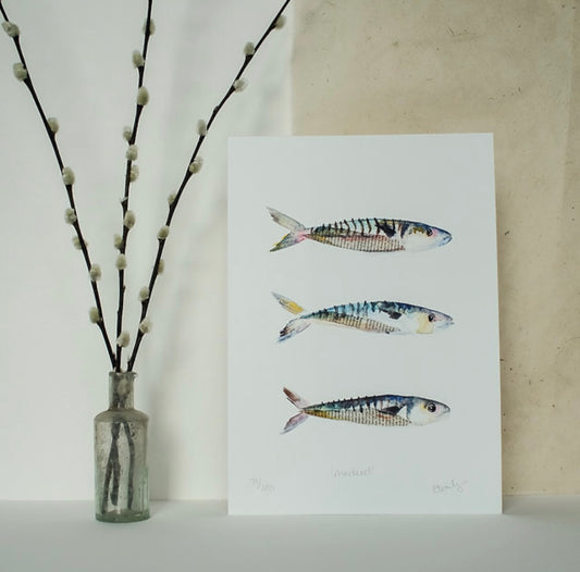 Mackerel Print in Various Sizes