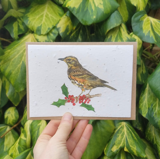 Redwing Wildflower Seed Card