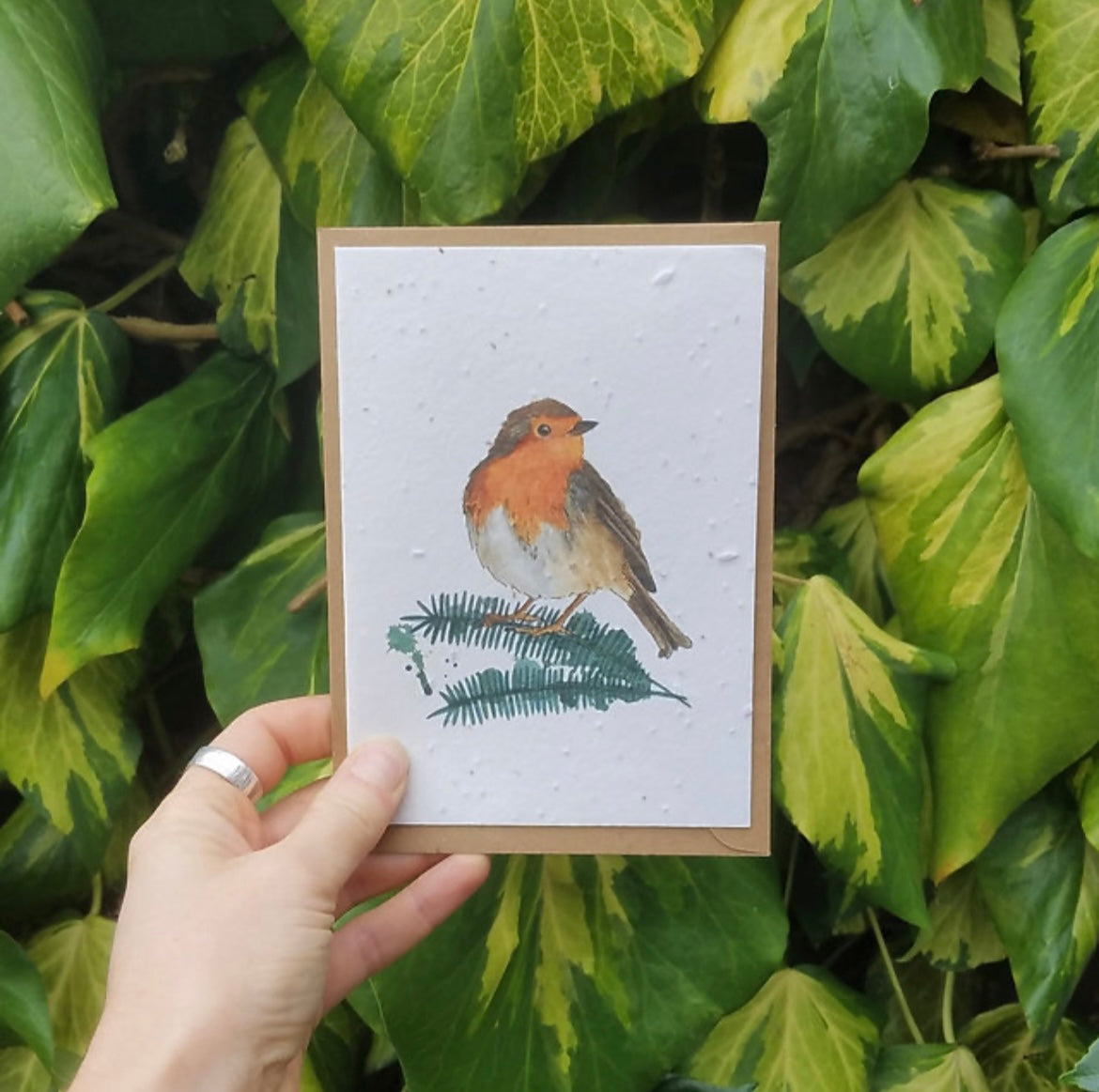Robin Wildflower Seed Card