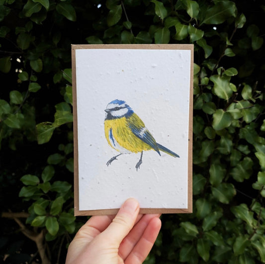 Blue Tit Wildflower Seed Card