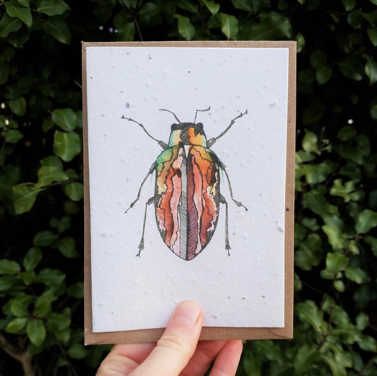 Red Beetle Wildflower Seed Card