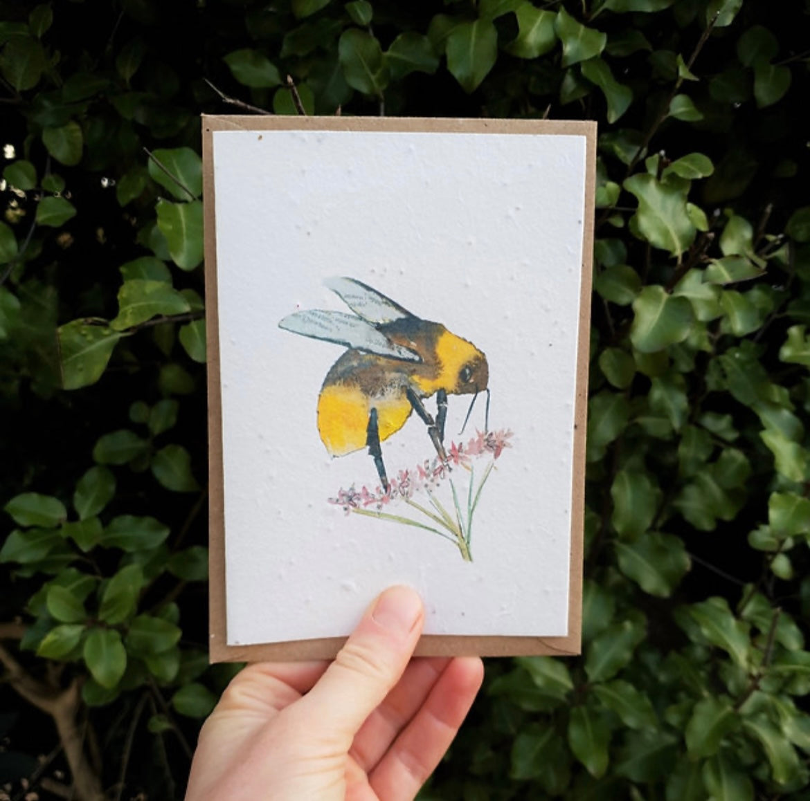 Bee Wildflower Seed Card