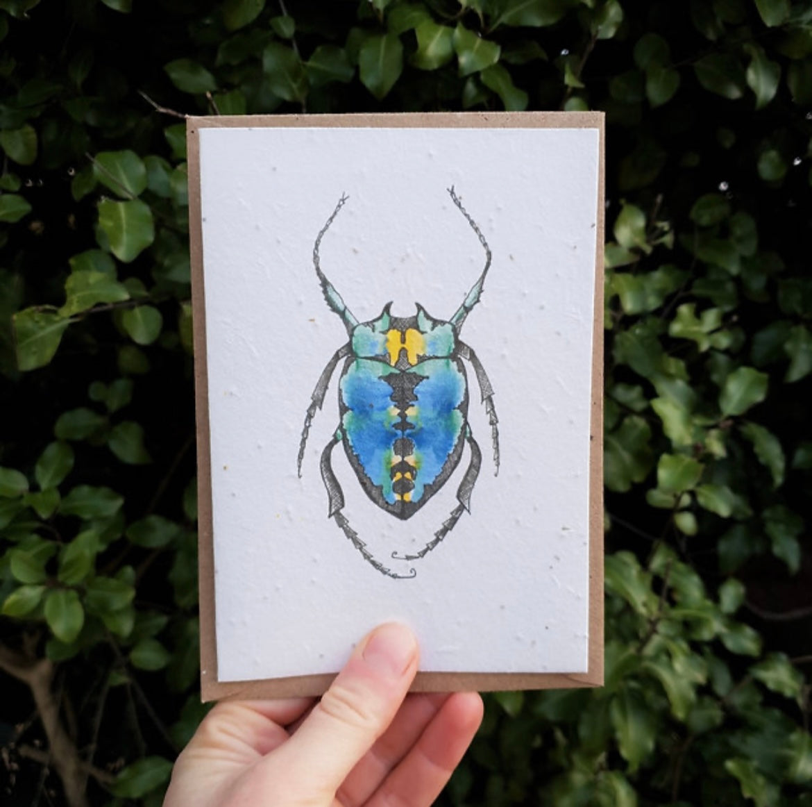 Blue Beetle Wildflower Seed Card